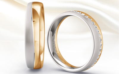 Grosse Ehering-Ausstellung vom 7.-25. November 2023